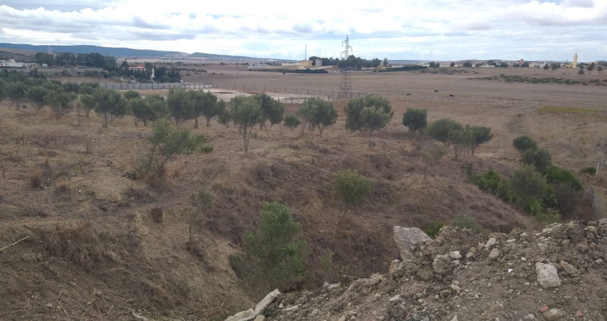 Land of 11600 m² for sale in sidi hssayen&nbsp;